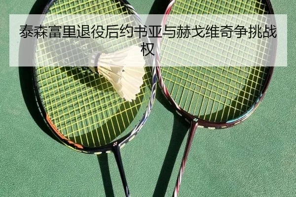 泰森富里退役后约书亚与赫戈维奇争挑战权