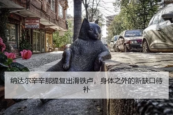 na-da-er-xin-xin-na-ti-fu-chu-hua-tie-lu-shen-ti-zhi-wai-de-xin-que-kou-dai-bu-1-899.jpg